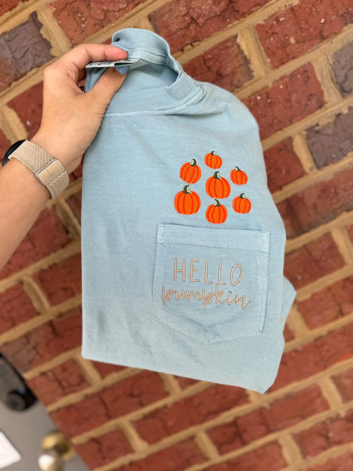 Hello Pumpkin Embroidered Comfort Color