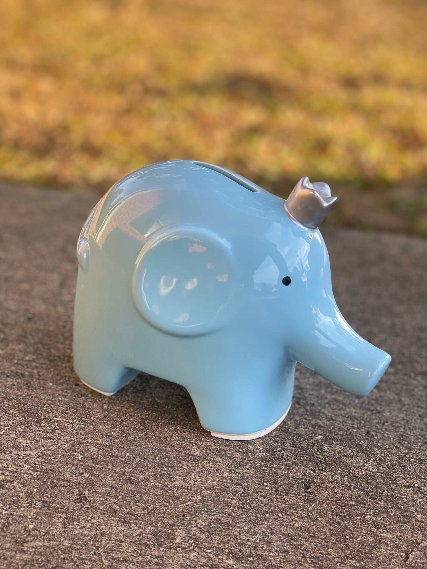 BW Ceramic Piggy Banks