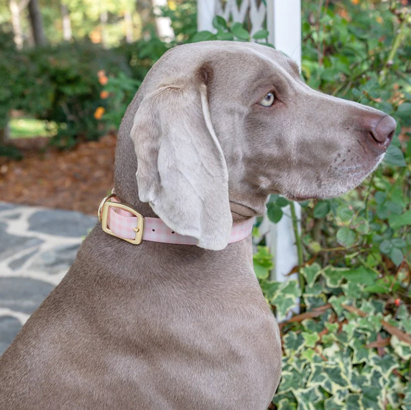 MS Pink Gingham Dog Collar