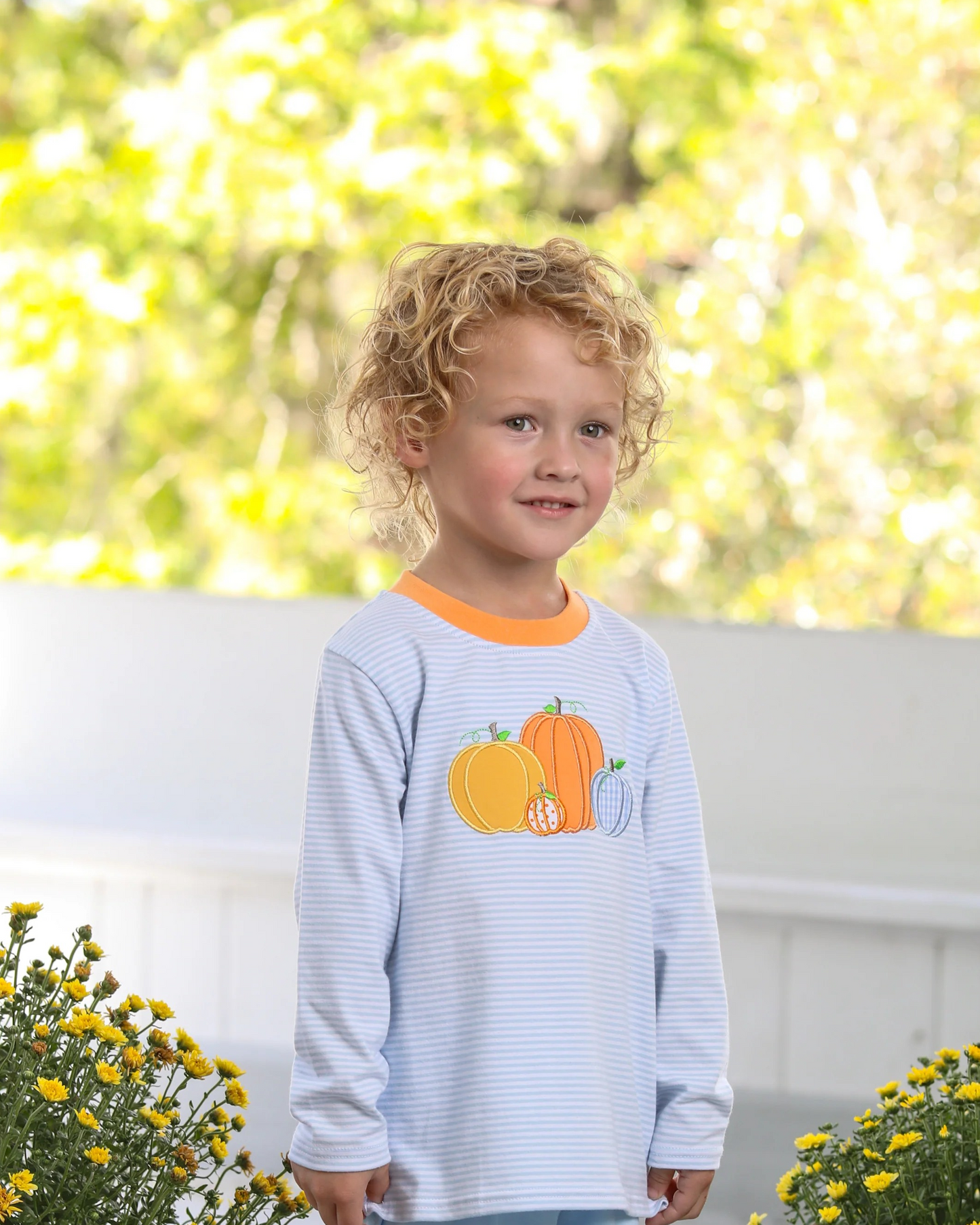 TS Pumpkin Patch LS Shirt