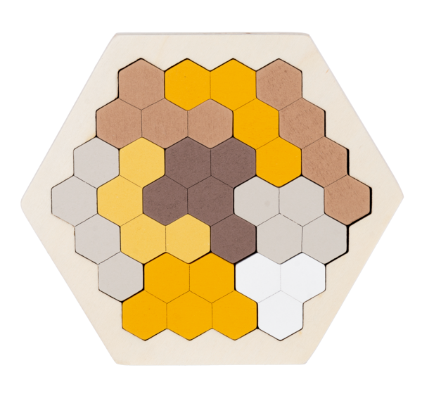 Ganz Wooden Shape Puzzle
