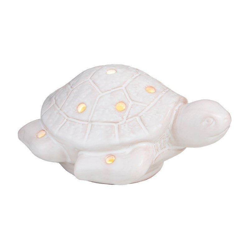 Mudpie Sea Turtle Sitter