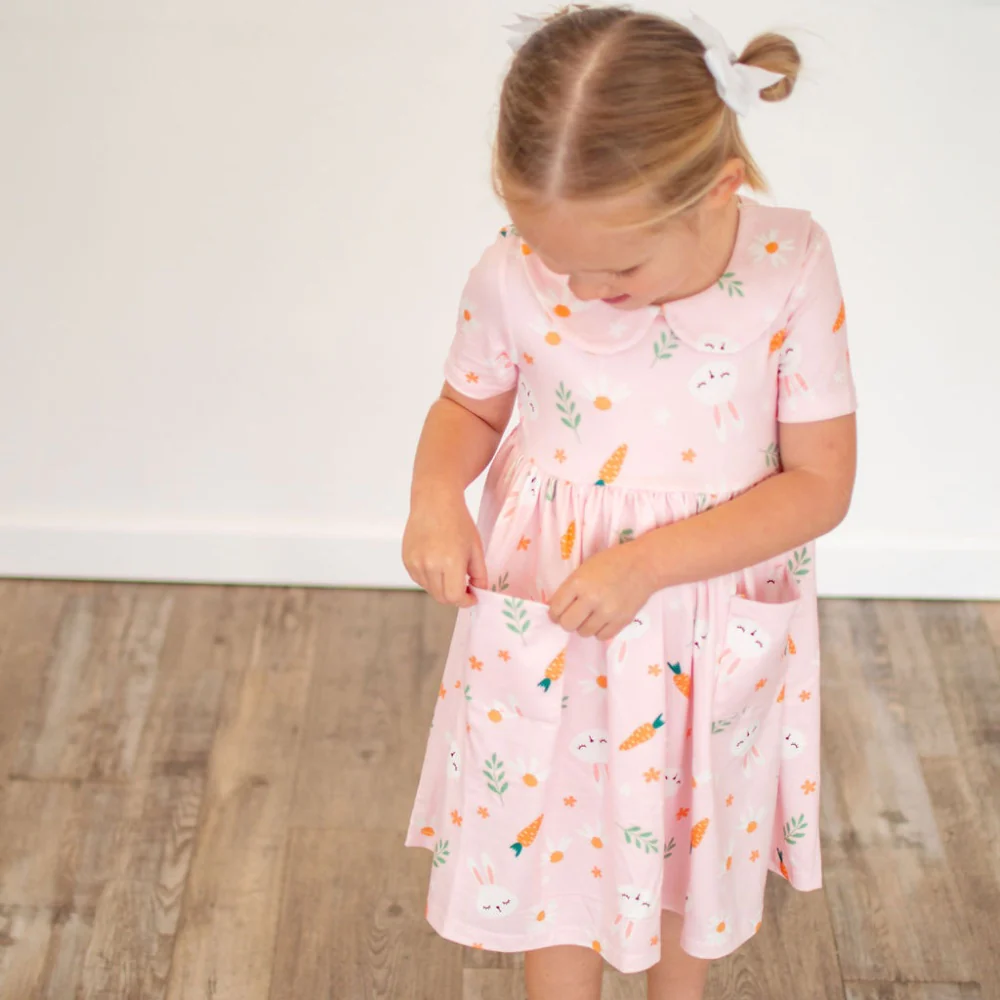 Toddler Twirl Dress - Pink Carrots